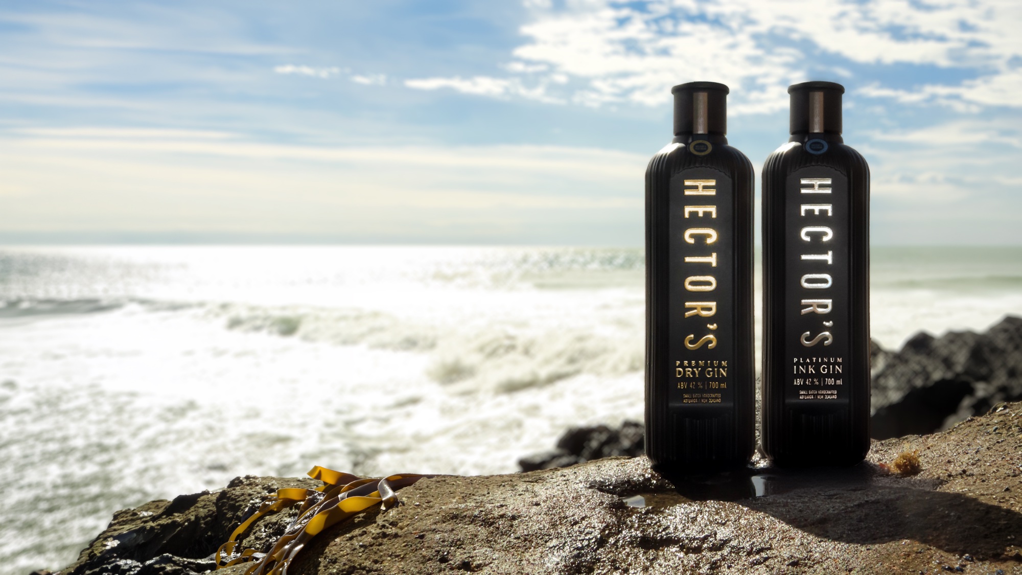 Hector's bottles on coastal rocks